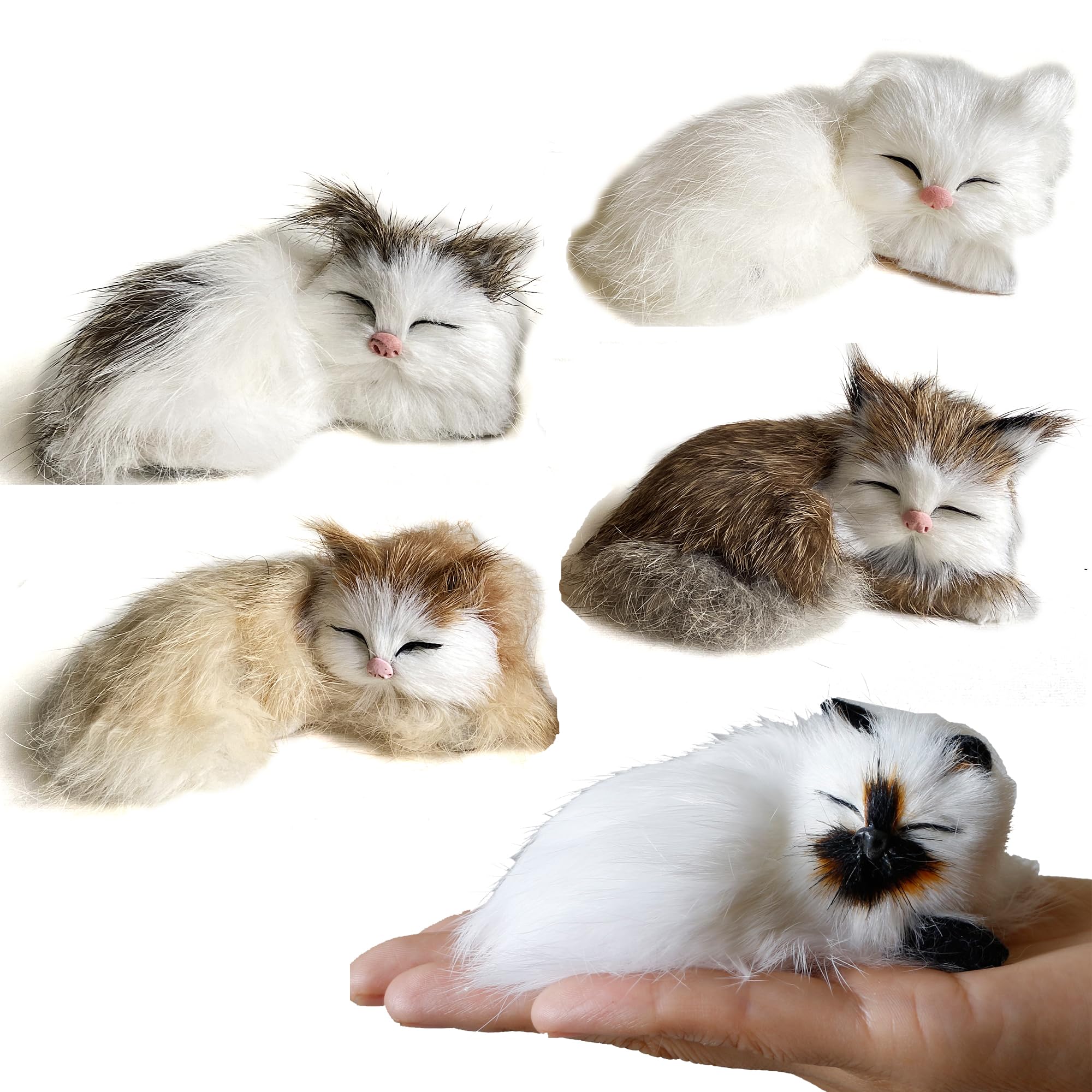 Cat basking in sunlight in a safe outdoor enclosure